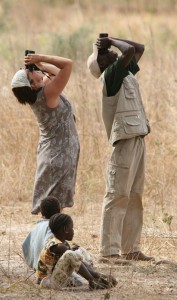 bird watching in the Gambia with a local guide